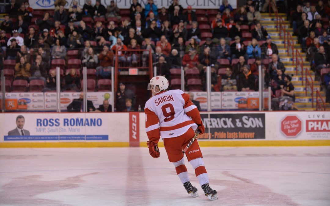 Soo Greyhounds and Rasmus Sandin’s impact on the OHL team