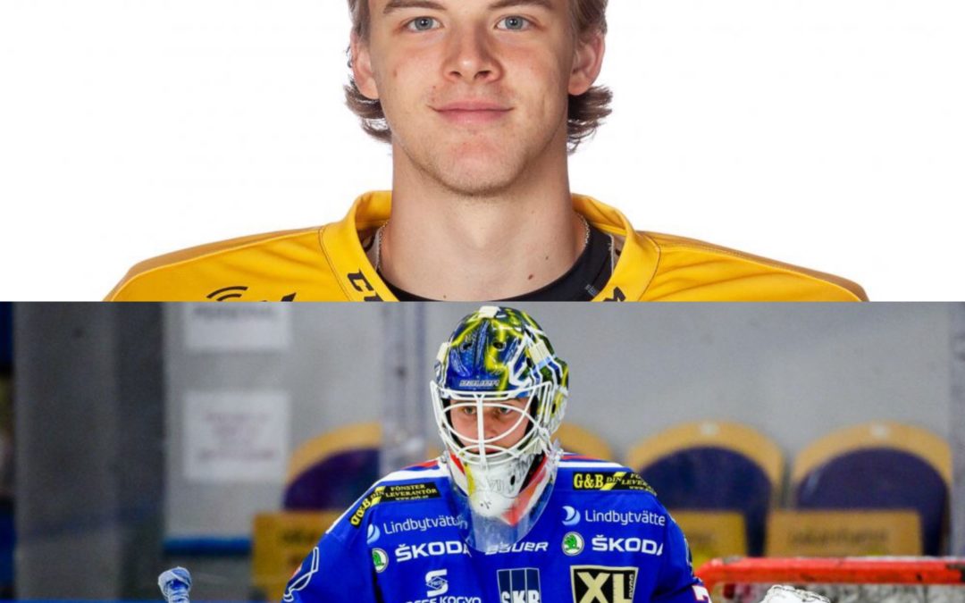 Åhman & Ersson Ranked Top Two Goalies in Allsvenskan